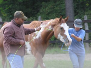 Equine Therapy | Columbia SC