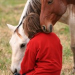 boy and horses