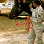 Soldier and horse